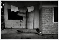 Vie quotidienne / Daily life