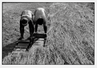 Fabrication des briques / Brick making
