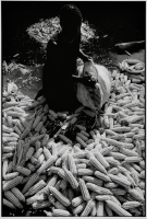 Le maïs, aliment de base / Corn, a staple food